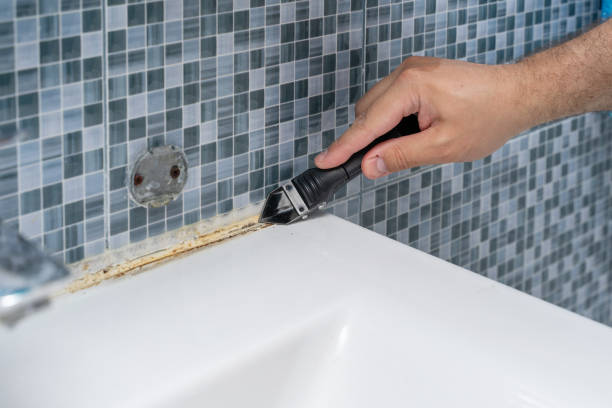 Best Basement Mold Remediation in Haskell, TX
