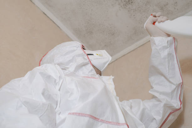 Best Industrial Mold Remediation in Haskell, TX