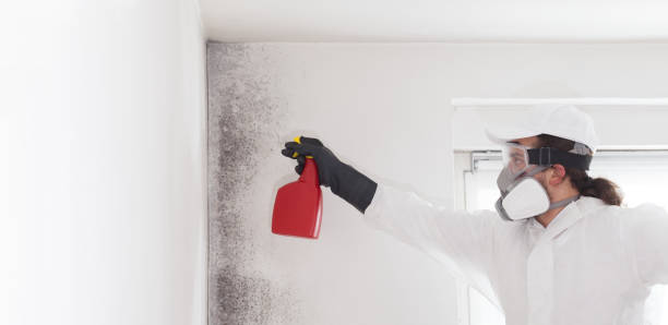 Trusted Haskell, TX Mold Remediation Experts