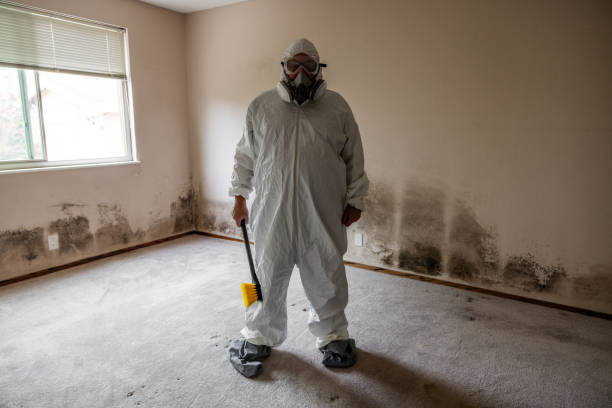 Best Emergency Mold Remediation in Haskell, TX